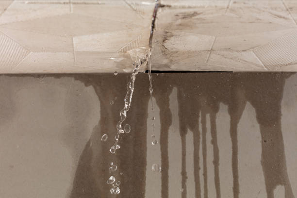 Professional Water Extraction technician working in Skyforest, CA